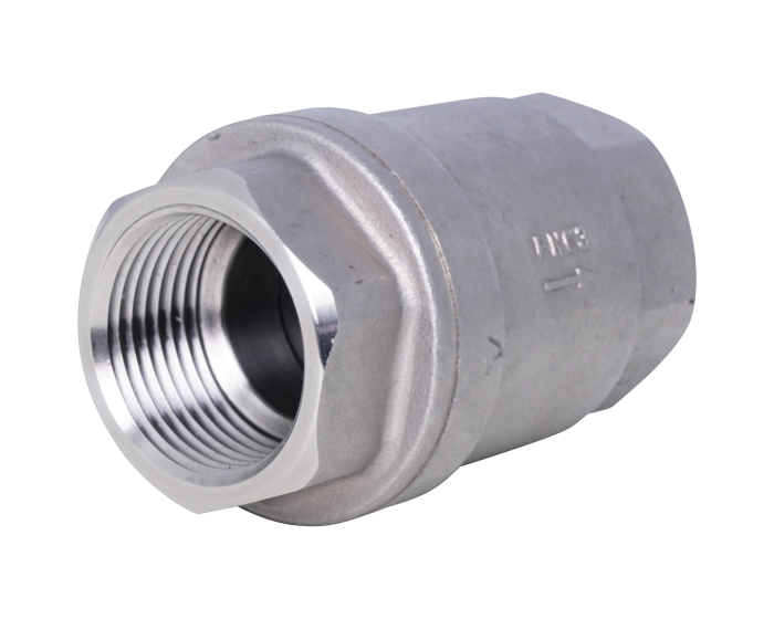 Stainless steel spring check valve FKM seat 3292 BSP 1/4''